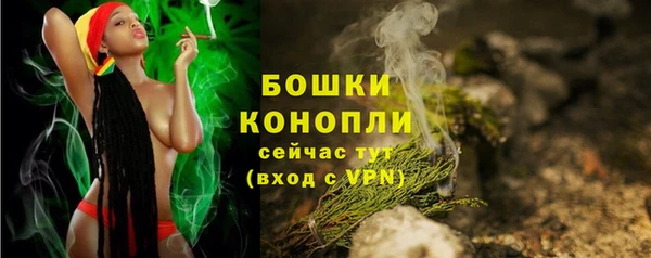 PSILOCYBIN Волоколамск