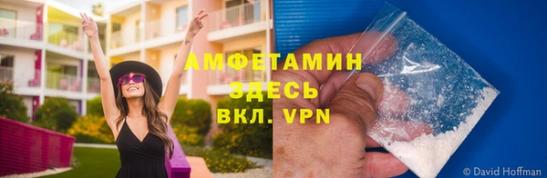 крисы Белокуриха