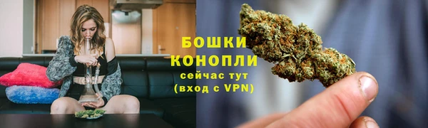 PSILOCYBIN Волоколамск