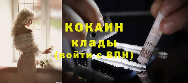 крисы Белокуриха