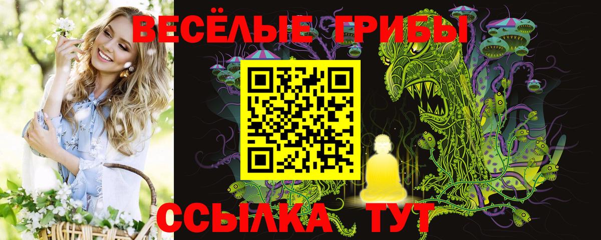 МЕФ Луга