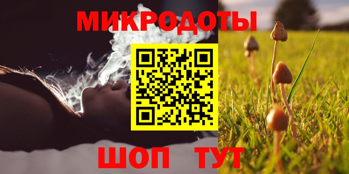 Галлюциногенные грибы прущие грибы  как найти наркотики  Луга 