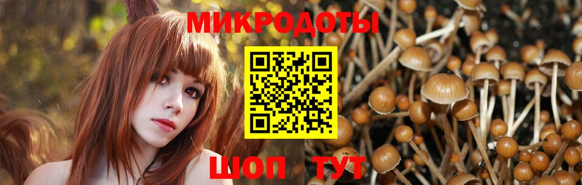 Луга  Галлюциногенные грибы ЛСД  Галлюциногенные грибы мухоморы  Вход с VPN 
