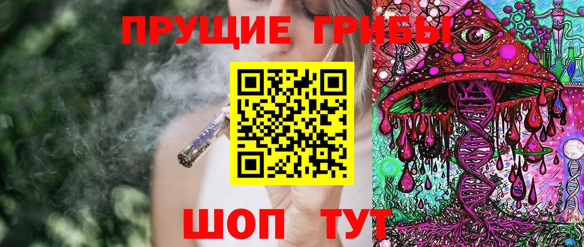 Галлюциногенные грибы Psilocybe Луга