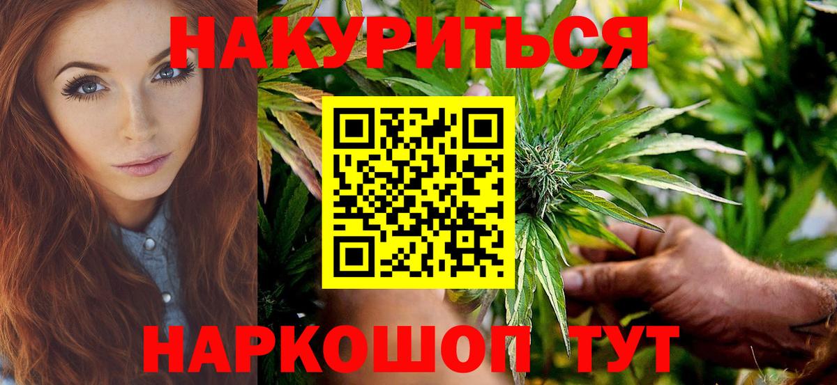 Конопля сатива Луга